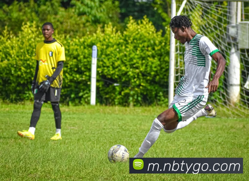 牛八体育平台生态图